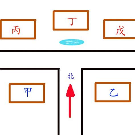 養鸚鵡 丁字路口的房子